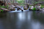 photo thumbnail #2