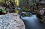photo thumbnail #3