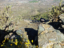 2016-03-18 :3: SALT in South Mountain :: FLYING_FLIVER