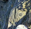 2016-03-18 :3: SALT in South Mountain :: FLYING_FLIVER