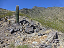 2016-03-18 :3: SALT in South Mountain :: FLYING_FLIVER
