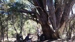 photo thumbnail #9