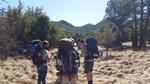 photo thumbnail #10