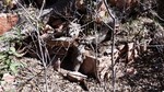 photo thumbnail #12