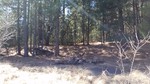 photo thumbnail #13
