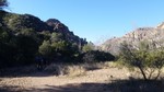 photo thumbnail #10