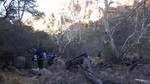 photo thumbnail #11