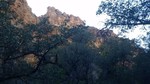 photo thumbnail #13