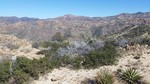 photo thumbnail #13