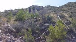 photo thumbnail #10