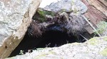 photo thumbnail #4