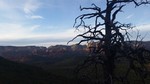 photo thumbnail #10
