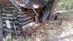 photo thumbnail #5