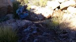 photo thumbnail #8