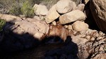 photo thumbnail #12