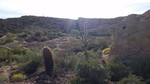 photo thumbnail #12