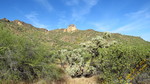 photo thumbnail #2