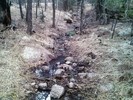 photo thumbnail #1