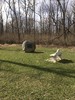 photo thumbnail #12