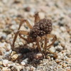 photo thumbnail #4
