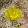 photo thumbnail #12