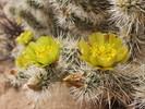 photo thumbnail #14