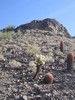 photo thumbnail #6