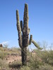 photo thumbnail #11