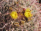 photo thumbnail #13