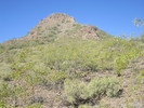 photo thumbnail #14