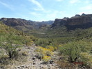 photo thumbnail #8
