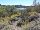 photo thumbnail #11