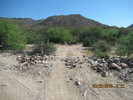 photo thumbnail #10