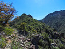photo thumbnail #9