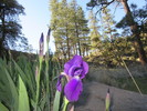 photo thumbnail #13