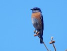 Featured Full Photo
