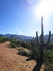 photo thumbnail #6