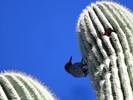 photo thumbnail #9