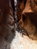 photo thumbnail #15