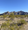 photo thumbnail #2