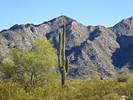 photo thumbnail #3