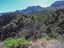 photo thumbnail #4