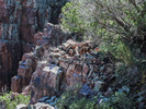 photo thumbnail #7