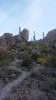 photo thumbnail #7