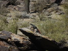photo thumbnail #3