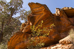 photo thumbnail #4