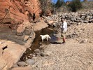 photo thumbnail #4