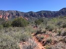 photo thumbnail #7