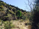 photo thumbnail #13