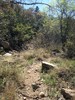 photo thumbnail #14